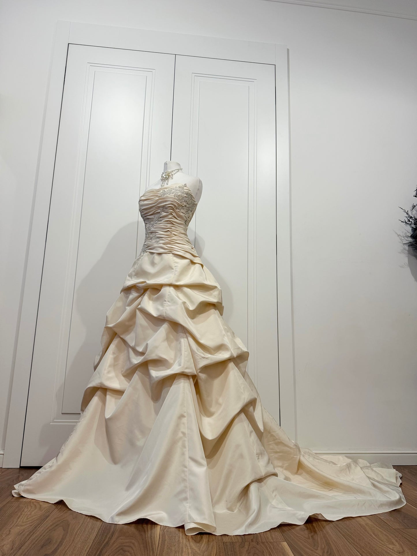 Ivory Wedding Dress with Cathedral Train